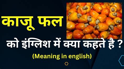 kaiju meaning in hindi|(Kaju) काजू meaning in hindi .
